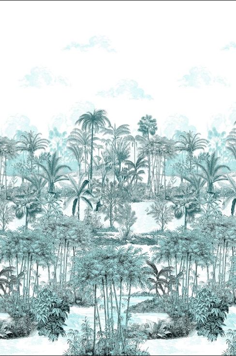 Amazone | Menthe