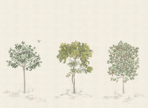 Arbustes | Naturel