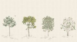Arbustes | Naturel