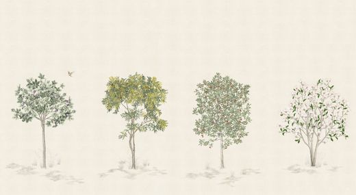 Arbustes | Naturel