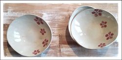 BOWL SLOW BORDEAUX