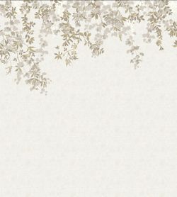 Chèvrefeuille | Naturel