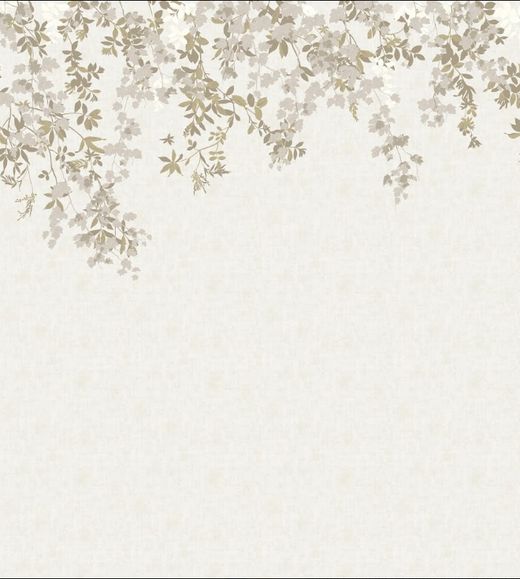 Chèvrefeuille | Naturel