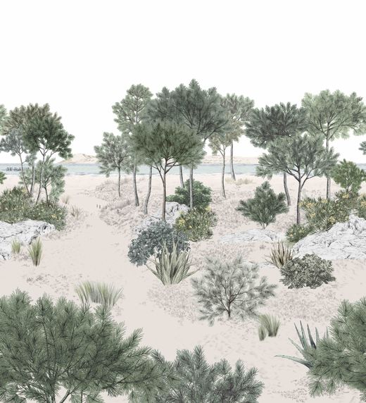 DUNE a Medida