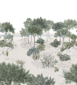 Dune | Naturel