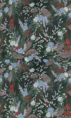 Fleurs d'intérieur a Medida