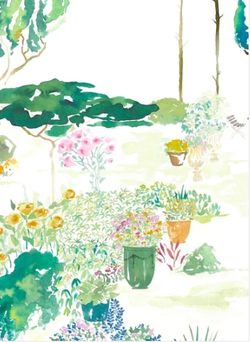 Jardin de France | Original