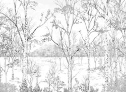 Nunavut | Grisaille