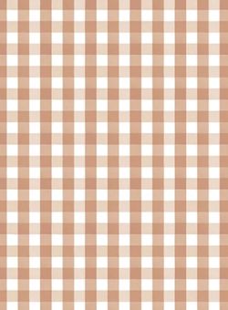 Petit Vichy | Terracotta Doux