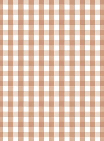 Petit Vichy | Terracotta Doux