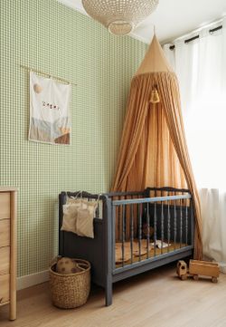 Petit Vichy | Vert Olive