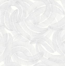 Plumes | Anthracite