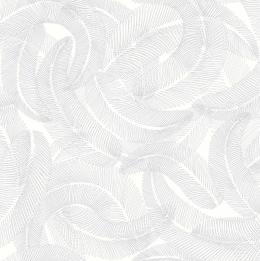 Plumes | Anthracite