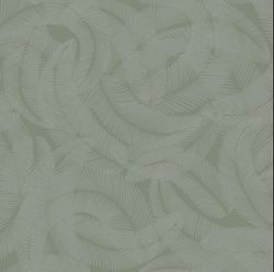 Plumes | Lichen