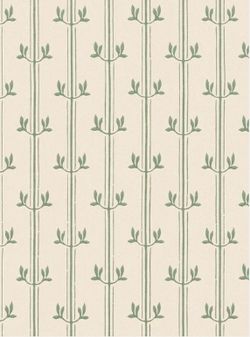Raya Aurèle | Verveine
