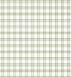 Tartan | Vert Olive