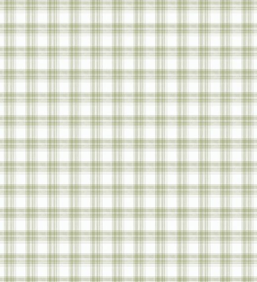 Tartan | Vert Olive