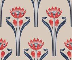 Tulipes | Blanc Rouge