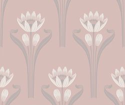 Tulipes | Rose
