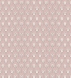 Tulipes | Rose