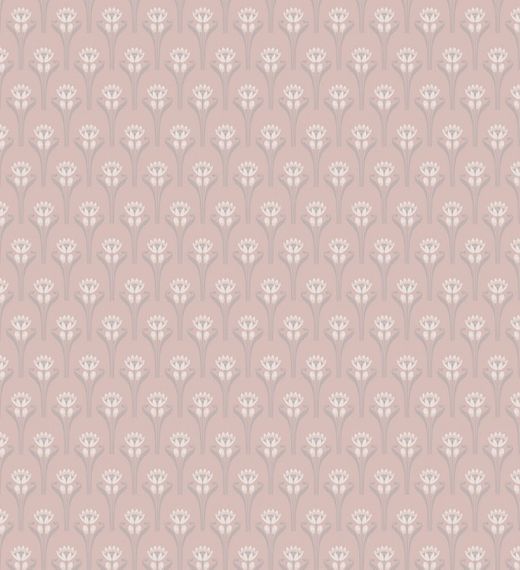 Tulipes | Rose